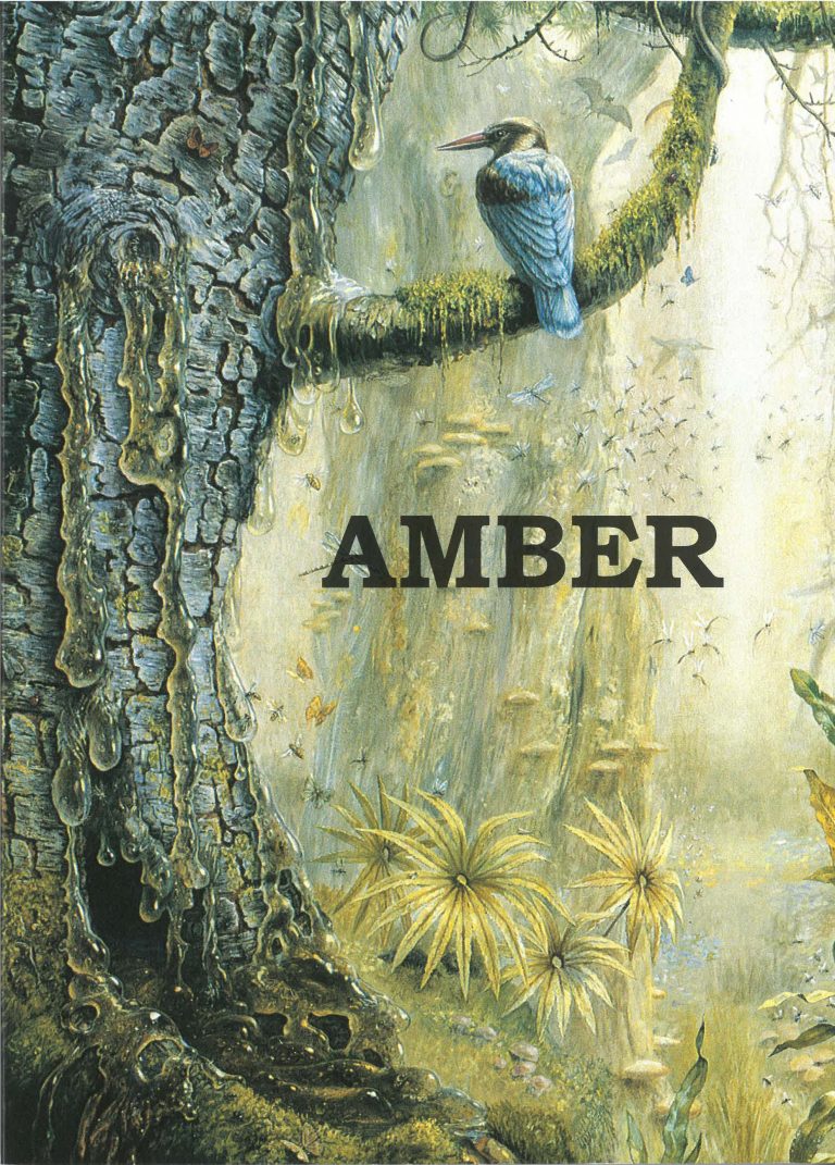 Amber bog