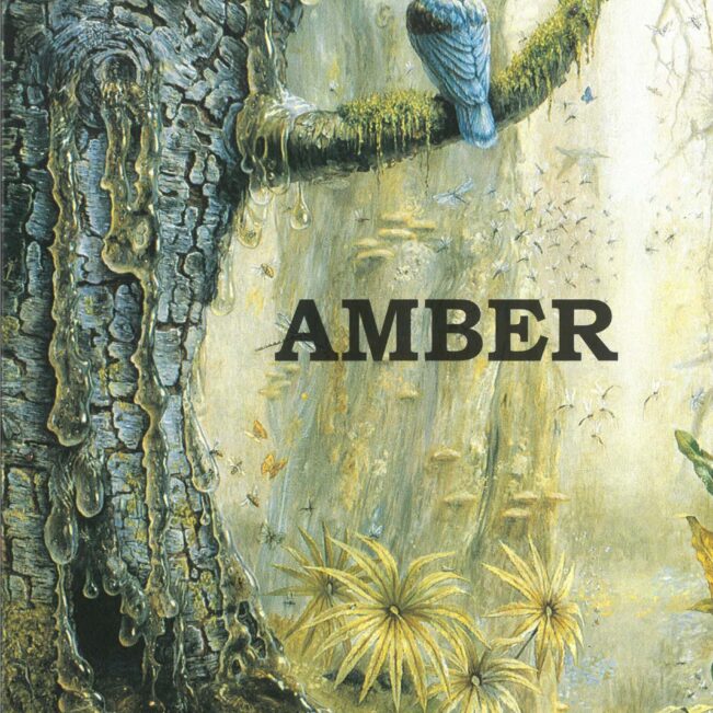 Amber bog