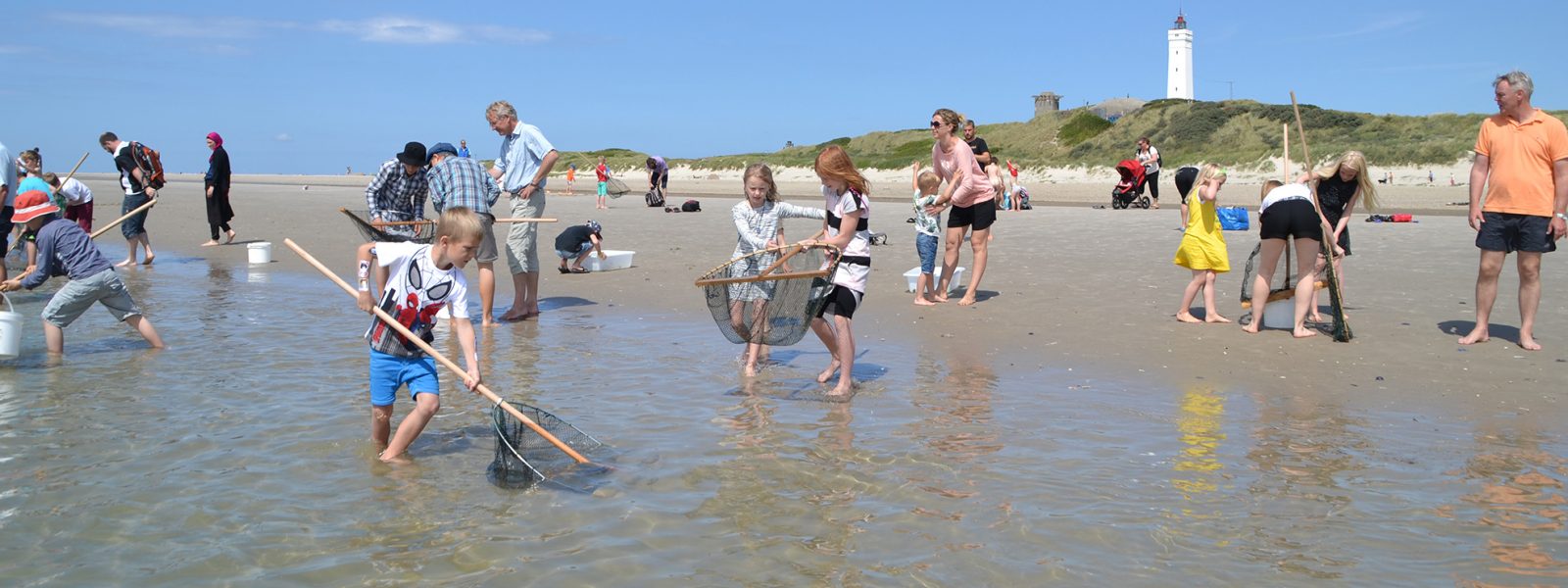 tierleben am strand