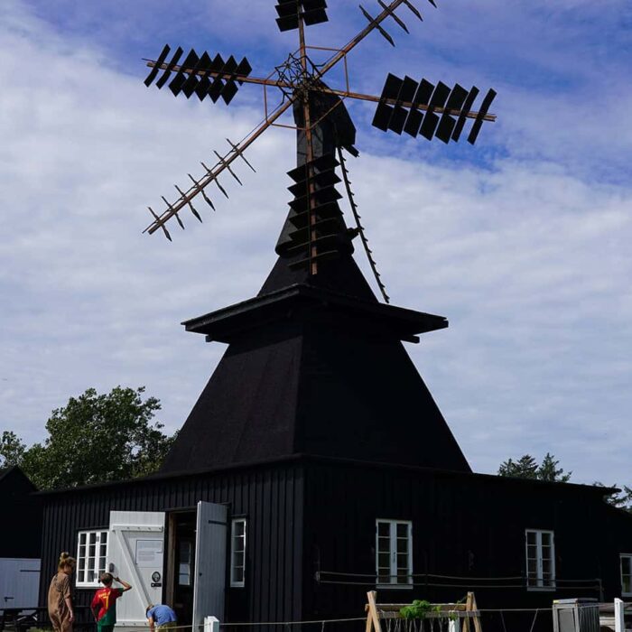Friland på Nymindegab Museum