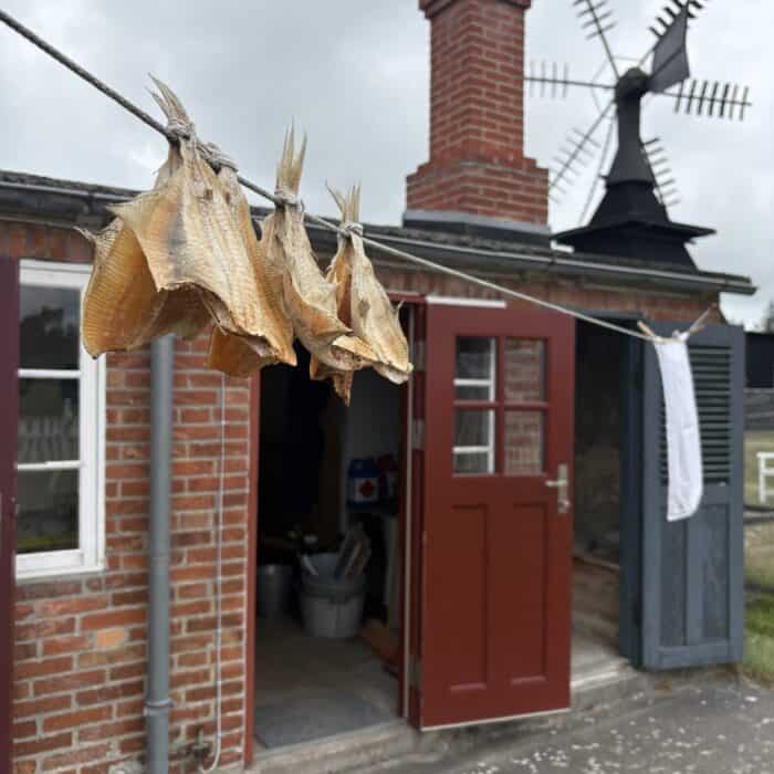 Tømrer Larsens Hus. Rødspætter hænger til tørre på tøjsnoren
